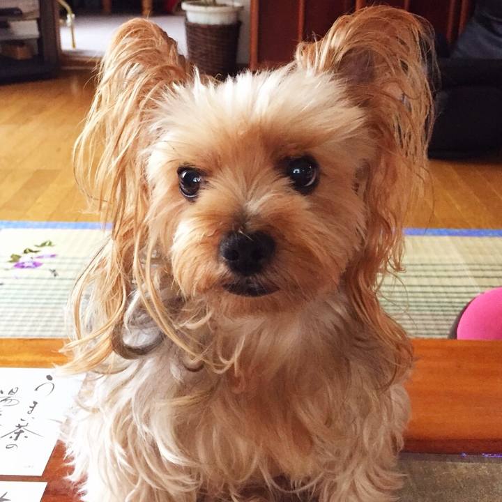 F56ca8b3 1c1a 4e50 96a1 7a5dcbc0ac78 1535612329608