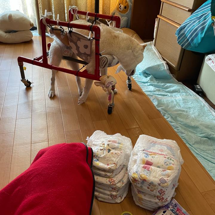 F56cc775 7a54 4ab1 88aa cc20d8ee0684 1663969062381