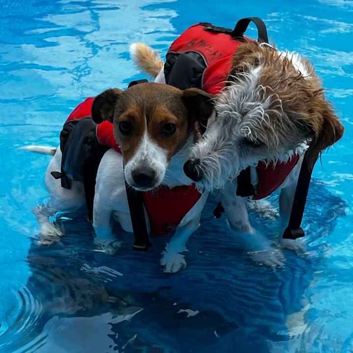 F56cf39d 5a3b 480f a889 6388496aea03 1754892852641