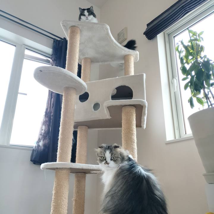 F56cfa69 0013 419d b2f8 80a790f6face 1774236255203