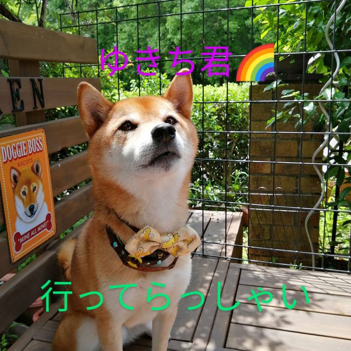 F56d0d4c c7e8 4d67 b7c7 1235bf2a29fc 1626314574691