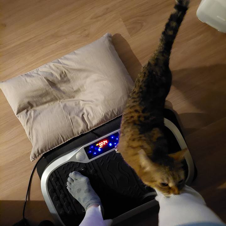 F56d3030 4504 40f0 b036 f3a665a3383e 1645043257673