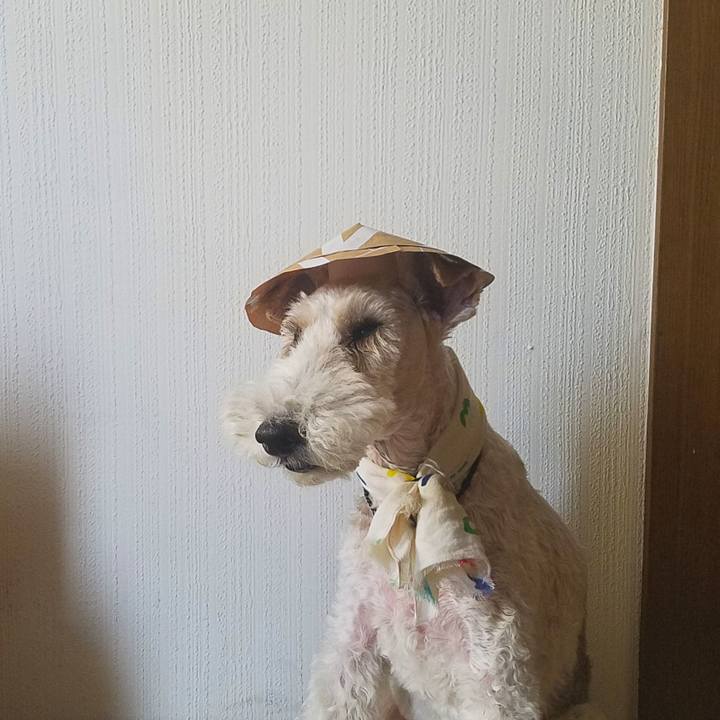 F56d8f57 1cbb 4fde a554 e108f7ef8f44 1566014144980