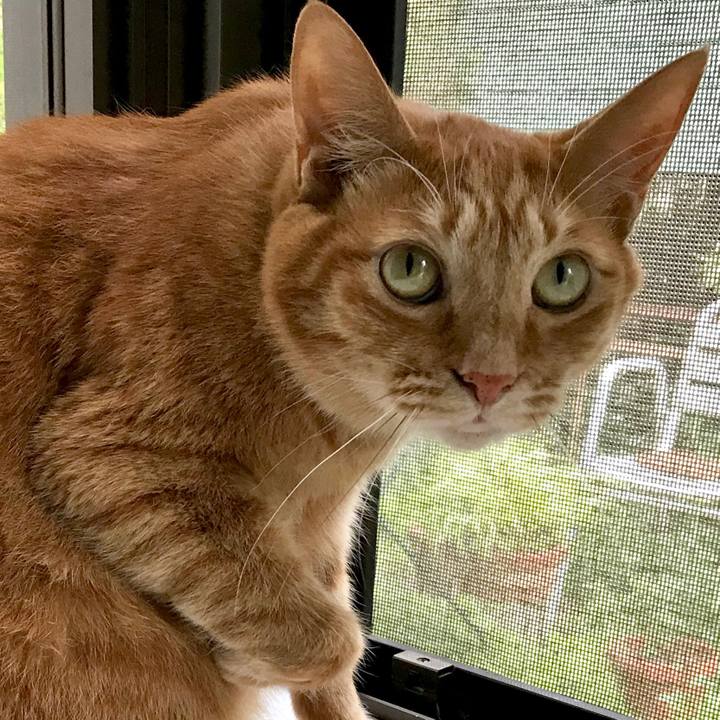 F56d99ee 2ebd 4557 bf5b 684e98a46e2c 1527662312331