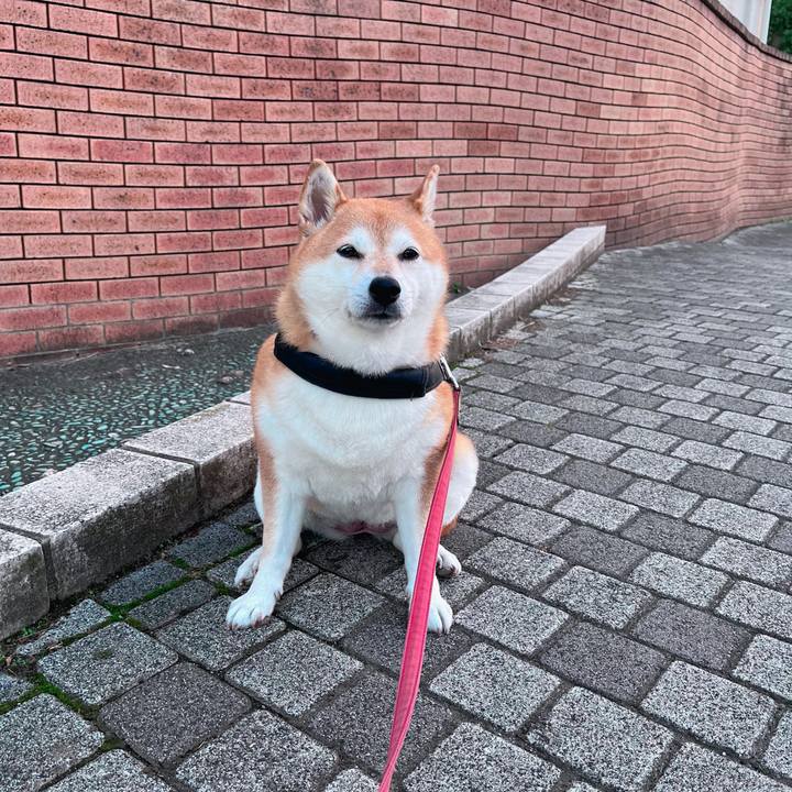 F56d9c6e a2ce 49ab 9a53 0bd986cd5198 1696582315781