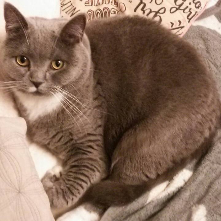 F56dac58 9306 43fa b2ed ef2bed8b23b0 1579436344171