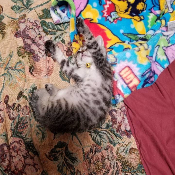 F56dba00 a44f 4b94 8536 6b4812e564eb 1661490083414