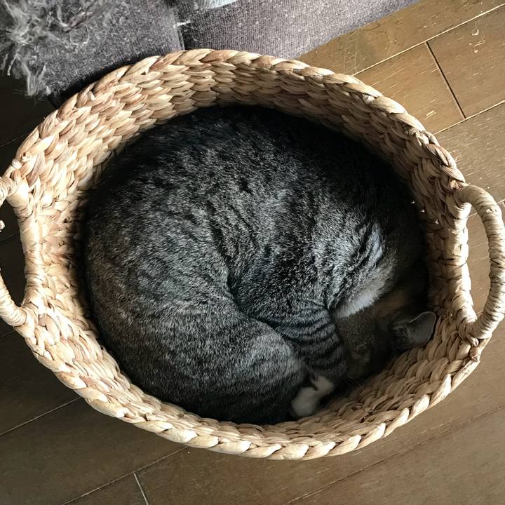 F56e03bc c85e 41c0 b24d 6fc35e84c222 1510903174831