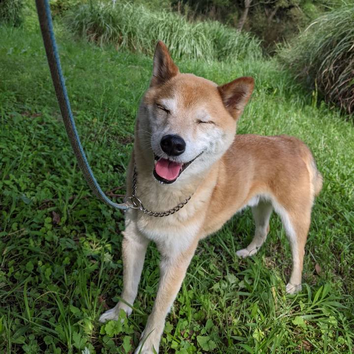 F56e2bb7 ce5c 445f b8a3 36cf796ce902 1633176754476