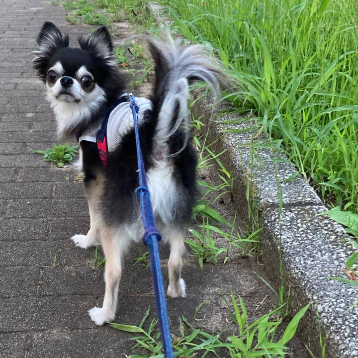 F56e3f1e 2ae9 49de 9611 8ea9f54de214 1718467661837