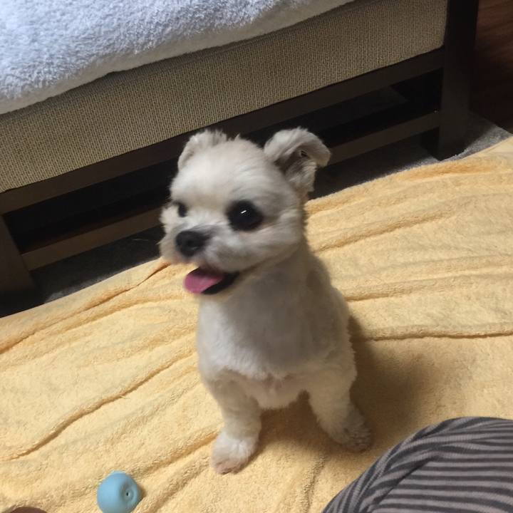 F56e54b6 62ef 417d bcb0 7b31e030589f 1536405052278