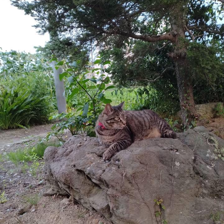 F56e7123 4a29 47dc bbc2 33ba5dfe4fe0 1690195779391