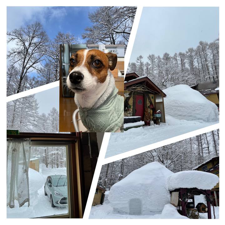 F56eb9cf ab88 4853 bb08 6a09799b48bb 1643951365963