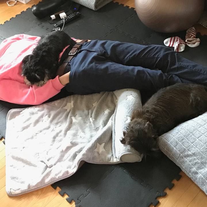 F56ec08d 9f92 490f 88b2 861a138d6dc7 1556357739704