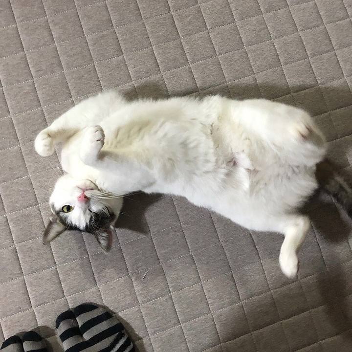 F56ef486 821f 4f60 a81c 229dc6bf4f15 1638864550948