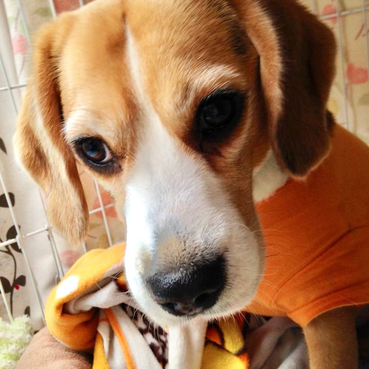 F56f1fd8 6266 42e1 b7d4 443beaebdb17 1742369246009