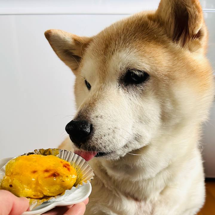 F56f5141 703c 4068 93d8 dcc810749fe5 1735528014298