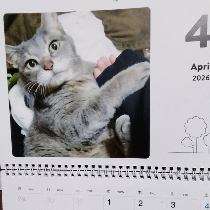 F56f6440 3df2 4415 8922 0c14bda50f28 1774994492437