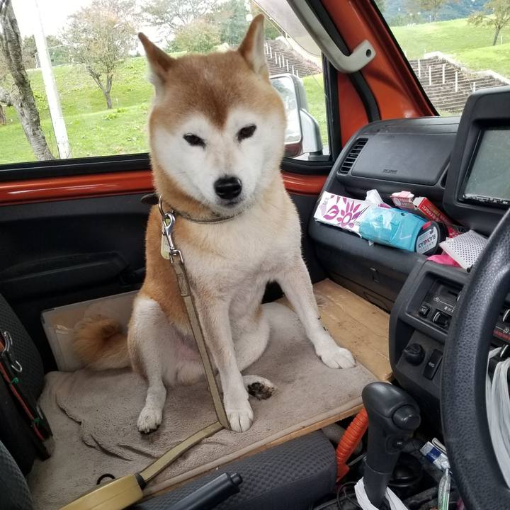 F56f6bea 793a 4c99 9102 2757039d4a9b 1665378244482