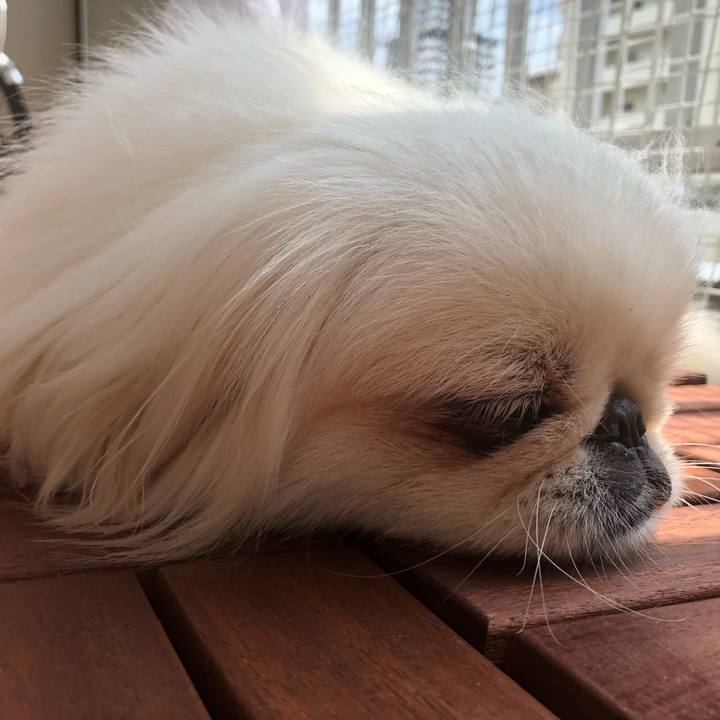 F56f775f 5c9c 4f4f a2ca 21ee4d0afca6 1535425907106