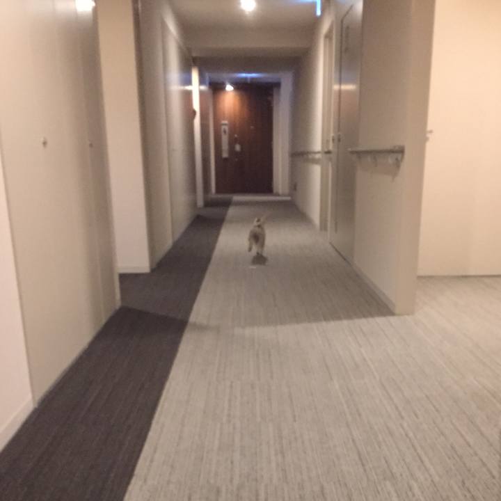 F56f8f59 6fa4 4e00 ac08 4320e0e5827f 1561718583623