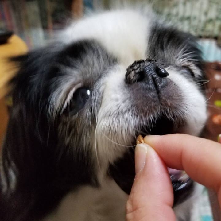 F56fcdf3 a32d 4c18 b6f7 e9c609319591 1547286559459