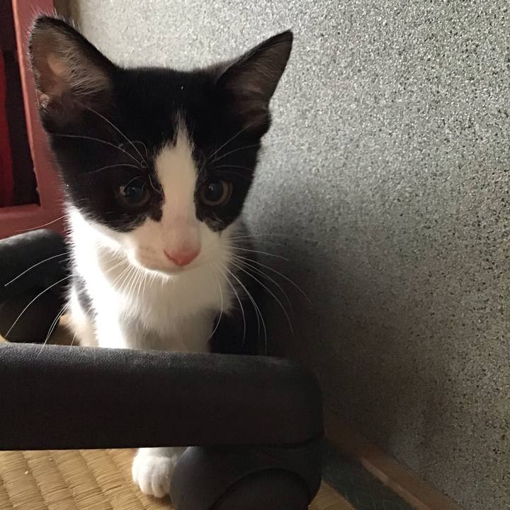 F57017be 97e2 47ae bdf4 533d0a0d8edd 1625725298144