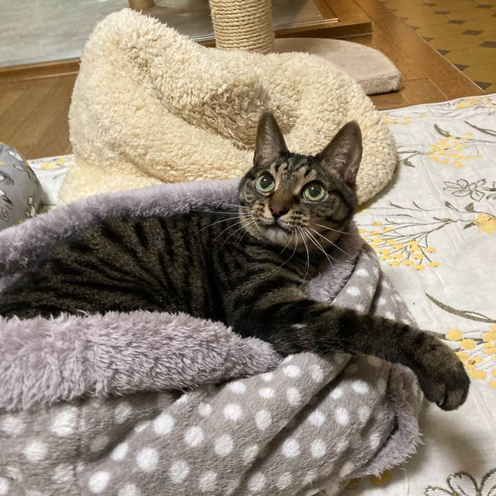 F5701ab8 f019 42fe a421 8b26a477d173 1705392522369