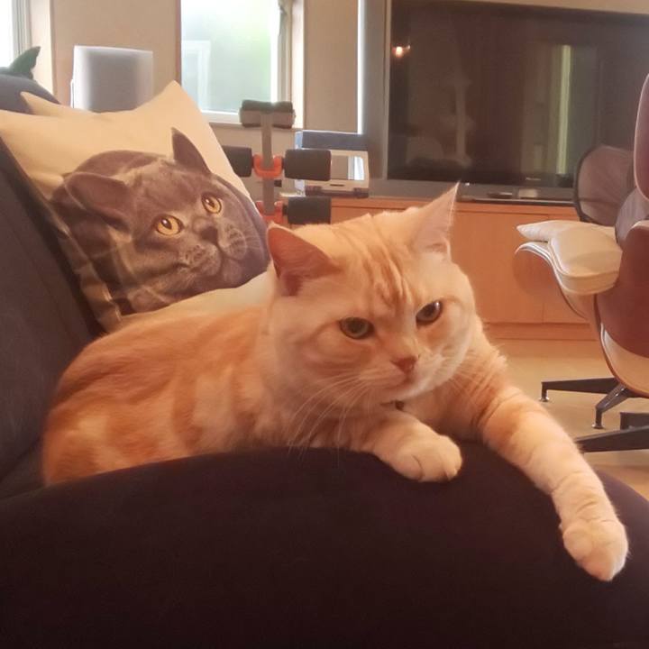 F5702d7c aba7 4917 94e5 84e3f95db237 1558393502979