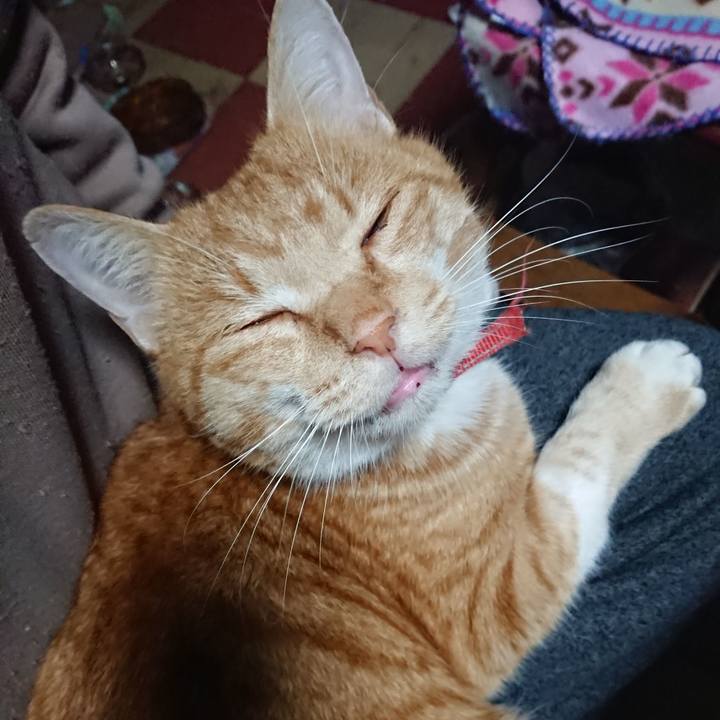 F57032f9 a8a7 402a 828b 4a173965d6aa 1576097329968