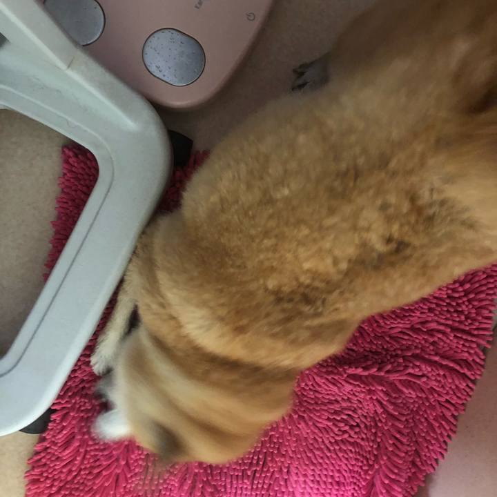 F570a9a2 4f14 47c0 9a1f aa9273c359bc 1560858135249