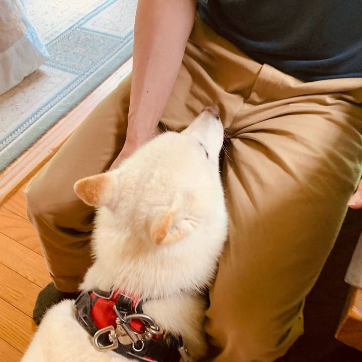 F570c8d6 8fc3 49f6 9b63 94c7dddd3f5f 1656708042543