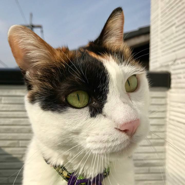 F570e471 7a62 4c3f b43f 7606a01f22fc 1543627789575