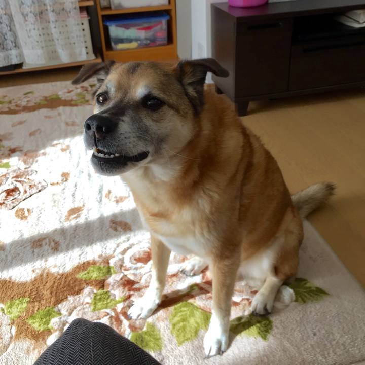 F5712d9a 9435 445f aa1a 04c2aa4e94c2 1578967735255