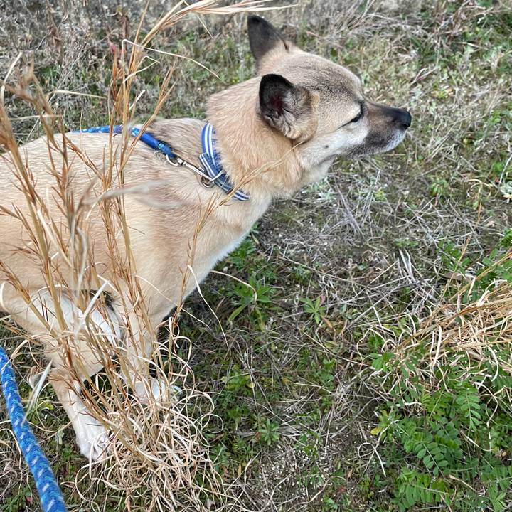 F57151e1 1e85 4775 90ca b884d1e6c060 1647952333547