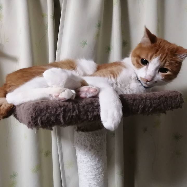 F57165f3 f26b 4dd7 8707 0cc11369537a 1639602645928