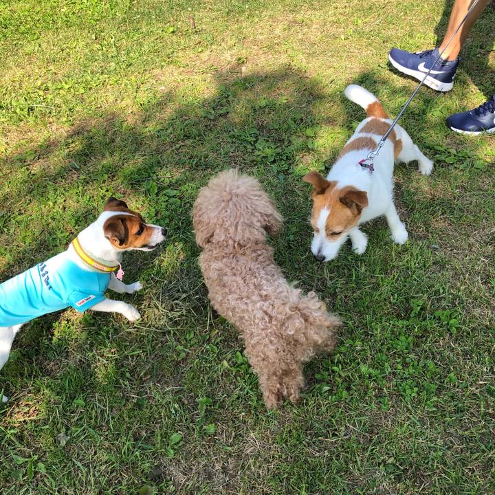 F57179e7 d515 4566 b2fe 721e2969006c 1529836441737