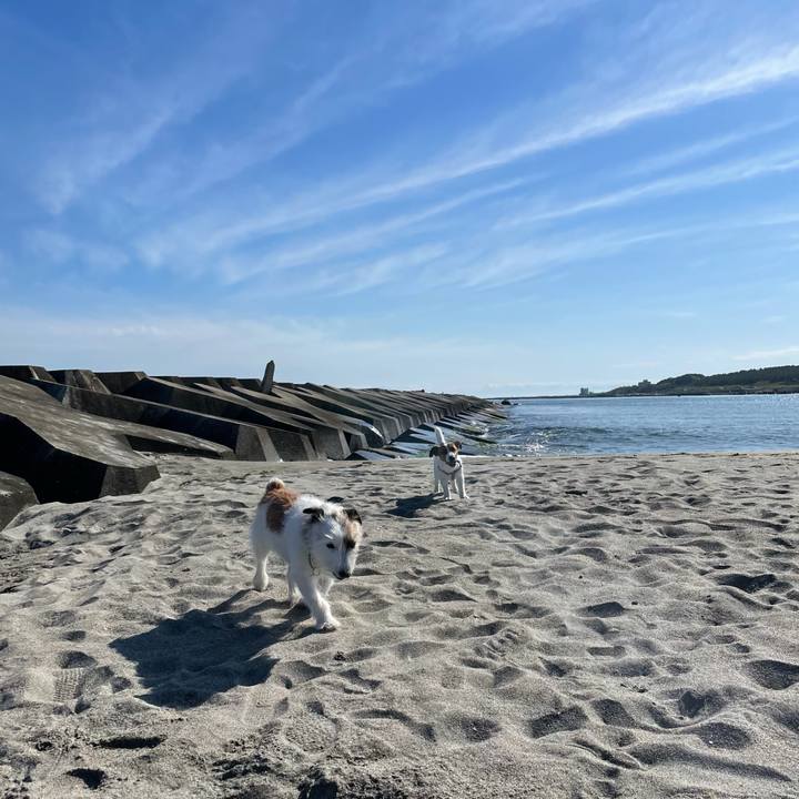 F5717abb f254 4e04 9d74 2221401d2a98 1622419250114