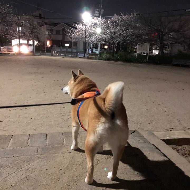 F5717b0e fe2e 4fa5 b170 ebb02857e823 1585028377864