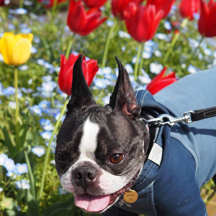 F571a272 8bbc 4080 9f4e a9f6b1f9dba7 1650106070632