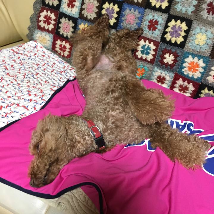 F571b615 cdf3 4deb 81c1 e1e793bee27b 1524484688093