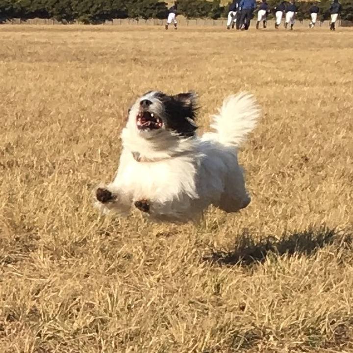 F571b7db 2e4d 42f2 9938 a7807de1fc89 1510397350135