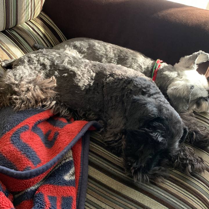 F571d723 ae6c 4c4b bb56 56c8011c3716 1607401941437