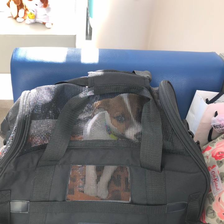 F571dc85 300d 48ff bd2b ccdf303273b7 1512306615994