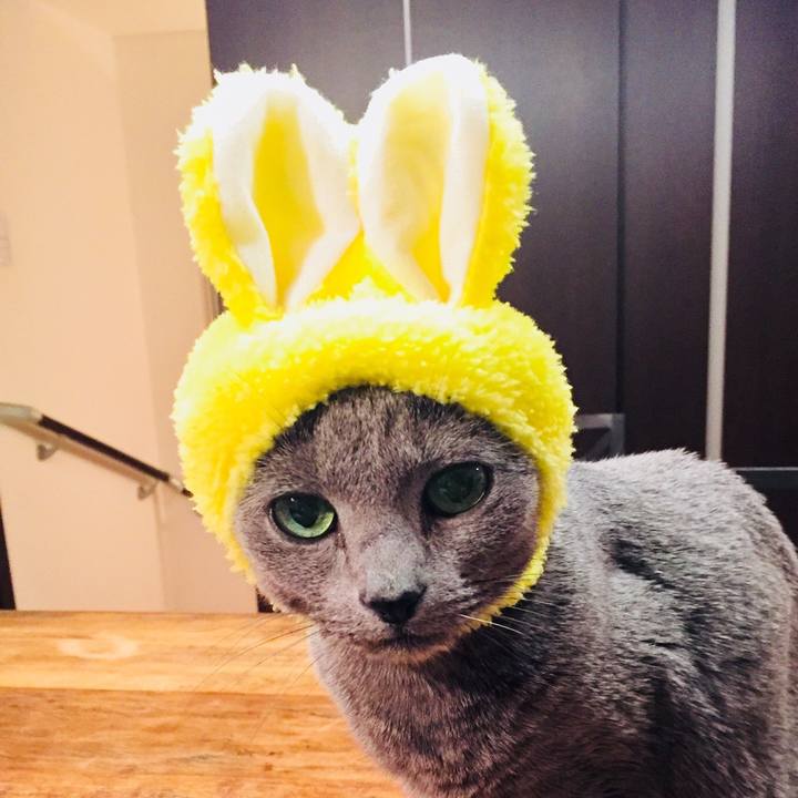 F5723d4f 9d93 4069 9769 5143d1e1a38d 1521497493964