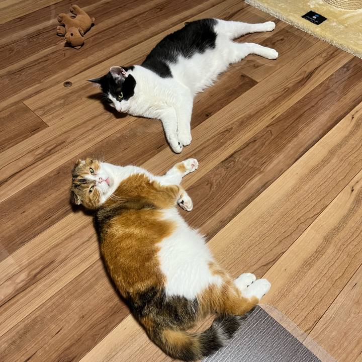 F5726f58 b4e4 4d72 ae97 9c1cfde998bd 1687422935019