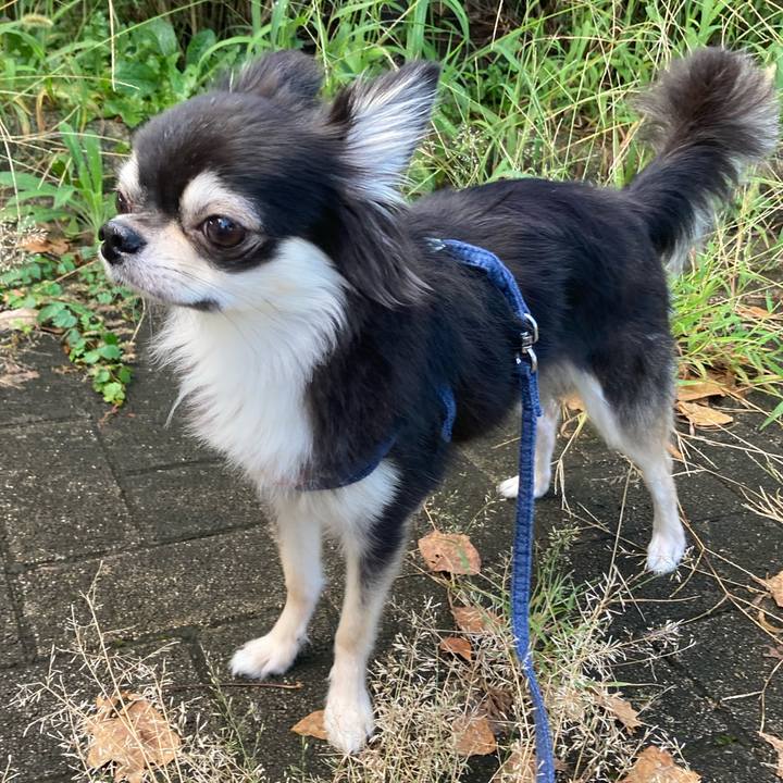 F5729c66 810e 4d35 8839 729f47009fa9 1632374064960