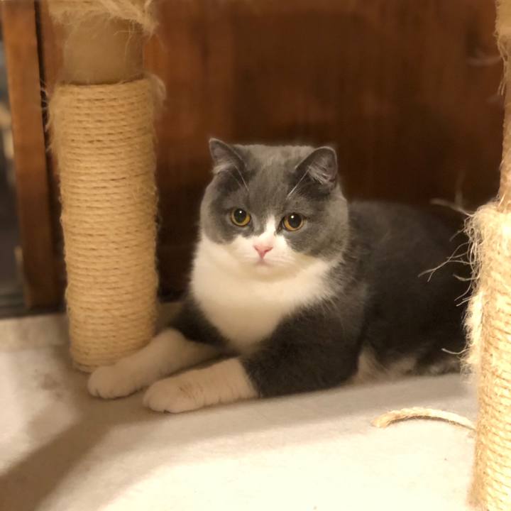 F5729ca2 f065 4aad 8ff4 860028a1afd1 1558519596324