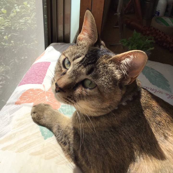 F572b404 61e0 47e4 89d7 8b957dc70a1e 1587614910313