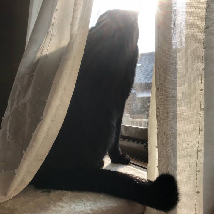 F572c8d6 9048 4d7d 9bee cb6cf73b375f 1521943068660